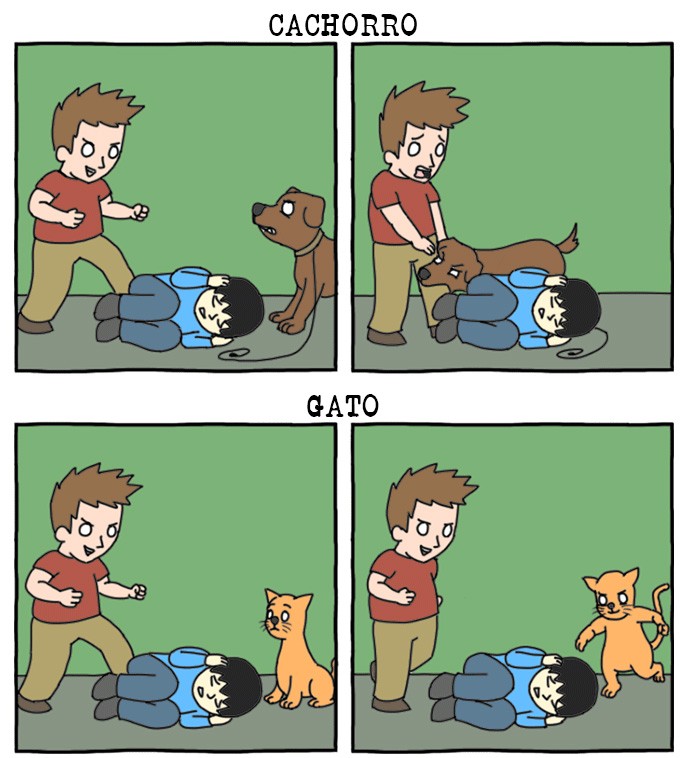 cachorro vs Gato