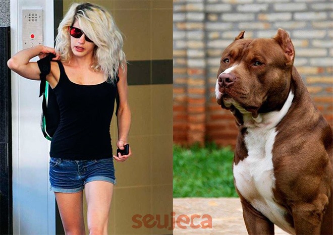 mulher sexo pitbull